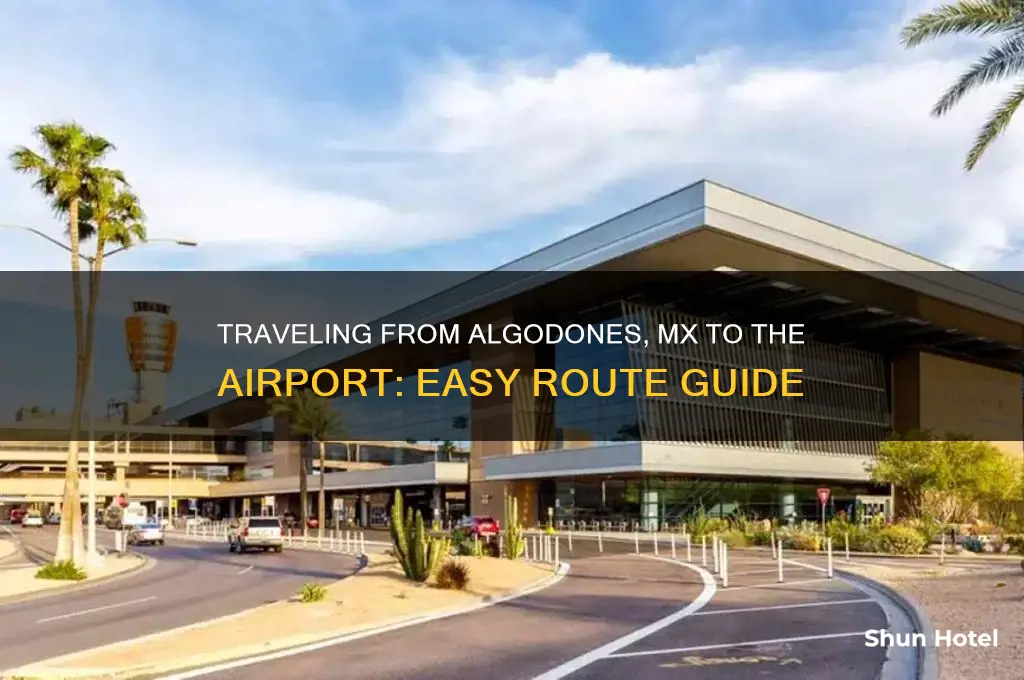 how do you get from algodones mx to the airport