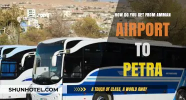 Traveling from Amman Airport to Petra: Easy Transport Options
