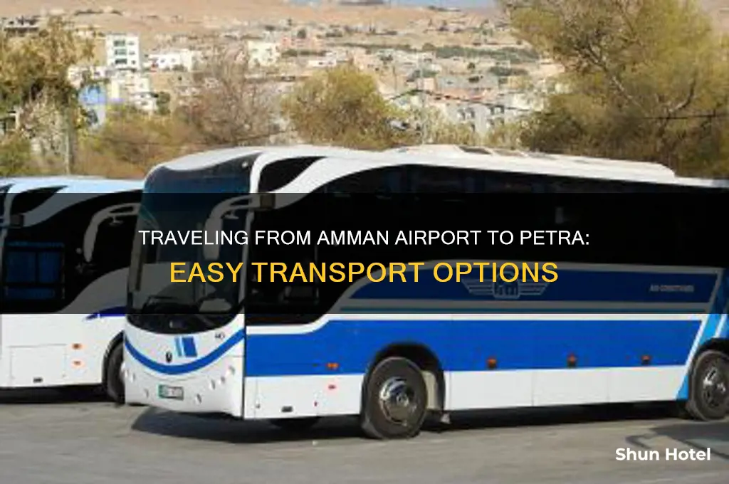 how do you get from amman airport to petra
