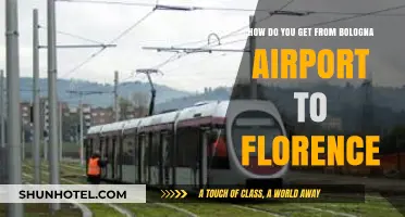 Traveling from Bologna Airport to Florence: Easy Transport Options
