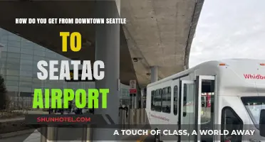 Easiest Ways to Travel from Downtown Seattle to Sea-Tac Airport