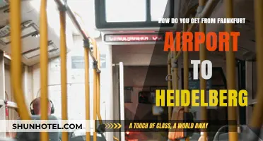 Travel Guide: Frankfurt Airport to Heidelberg Transport Options Simplified