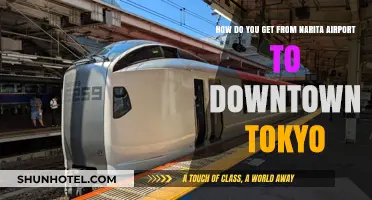 Narita Airport to Downtown Tokyo: Quick & Easy Transit Guide