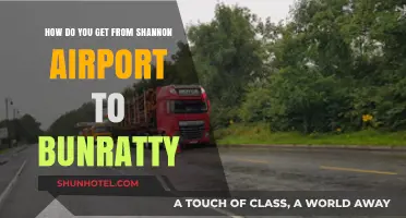 Travel Guide: Shannon Airport to Bunratty Castle - Easy Transport Options