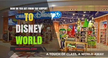 From Airport to Magic: Your Guide to Reaching Disney World