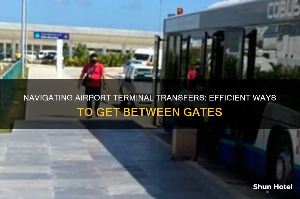 how do you get rides between airport terminals