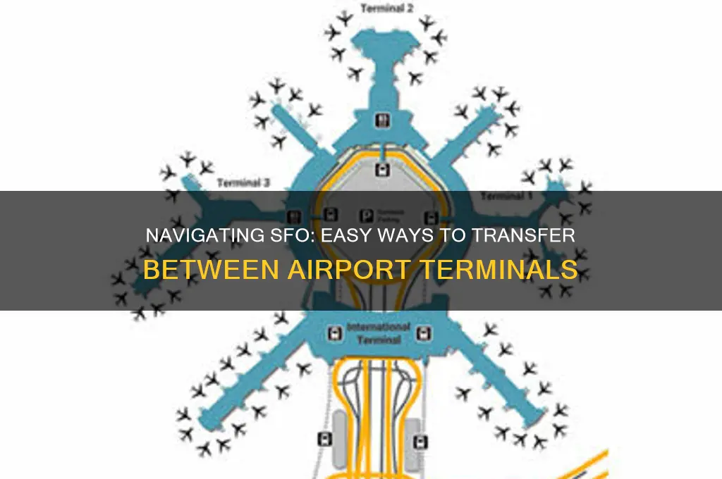 how do you get rides between sfo airport terminals