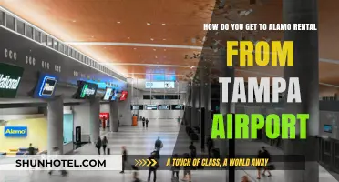Easy Guide: Navigating from Tampa Airport to Alamo Car Rental