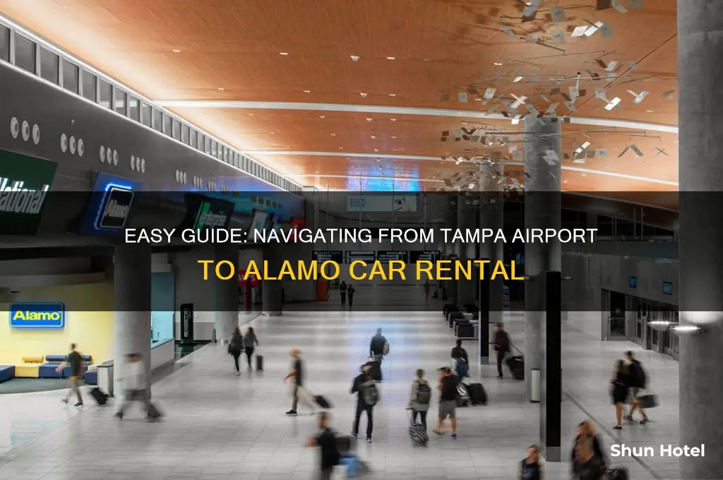 how do you get to alamo rental from tampa airport