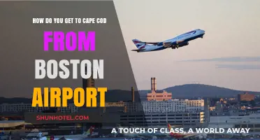 Traveling to Cape Cod: Boston Airport to Beachside Escape Guide