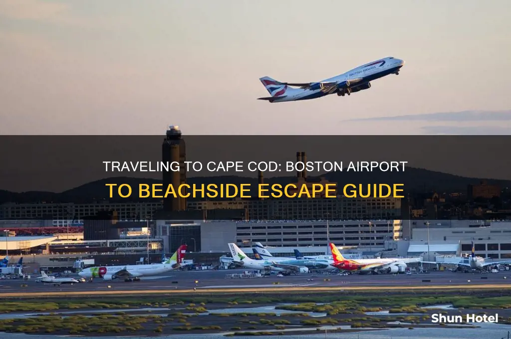 how do you get to cape cod from boston airport