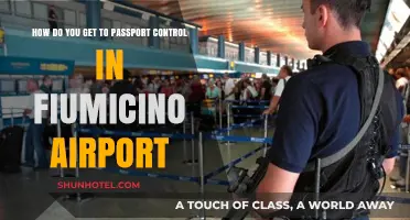 Navigating Fiumicino Airport: A Quick Guide to Passport Control
