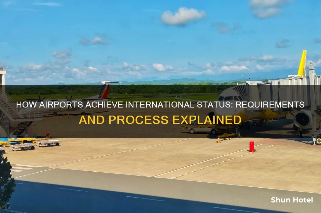 how does an airport get international status