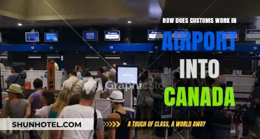 Customs Clearance: A Guide to Entering Canada by Air