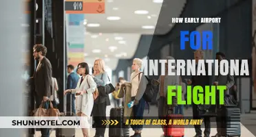 How Early Should You Arrive at the Airport for International Flights?