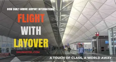 Stress-Free Travel: Optimal Airport Arrival Times for International Layovers