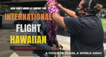 Early Arrival Tips for Hawaiian International Flights: A Stress-Free Guide