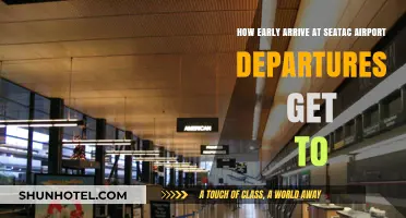 Early Arrival Tips for Stress-Free SEA-TAC Airport Departures