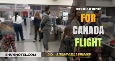 Arriving Early: Canada Flight Airport Protocol
