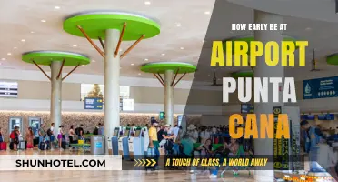 Arriving Early: Navigating Punta Cana's Airport Stress-Free
