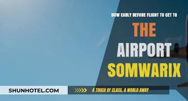 Somwarix Airport Arrival Guide: Timing Your Pre-Flight Journey Perfectly