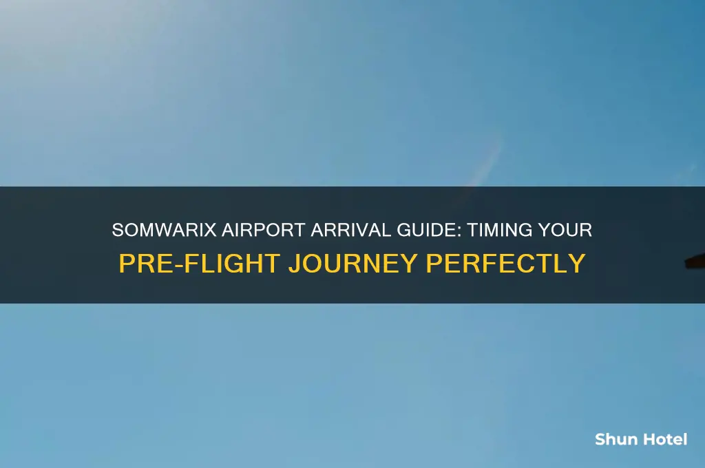 how early before flight to get to the airport somwarix