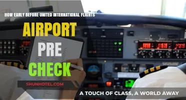 Early Airport Arrival Tips for United International Flights Pre-Check