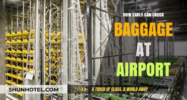 Check-in Early: Bag Drop and Boarding Benefits