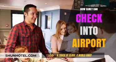 Arriving Early: Airport Check-In Times Explored