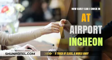 Incheon Airport: Best Check-In Time?