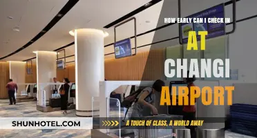 Changi Airport: Checking in Early for Your Flight