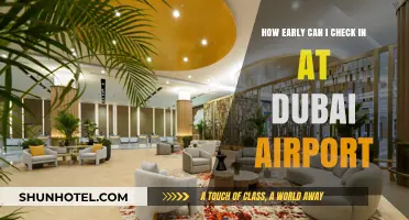 Dubai Airport: Early Check-In Options Explored