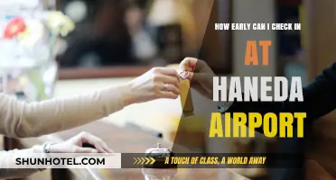 Haneda Airport: Best Check-In Time?