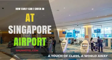 Singapore Airport: Early Check-In Options Explored