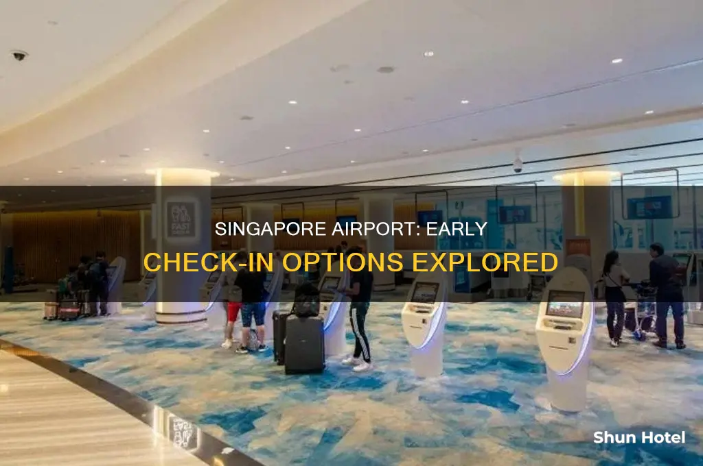 how early can i check in at singapore airport