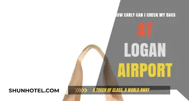 Checking Bags Early: Logan Airport's Policy Explained