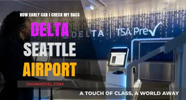 Early Check-In: Delta's Seattle Airport Bag Drop