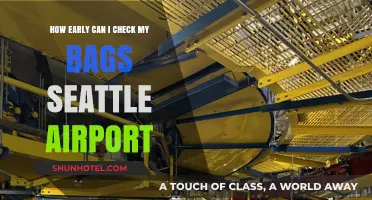 Seattle Airport: Checking Bags Early