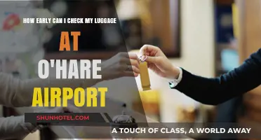 Best Time to Check-In Luggage at O'Hare Airport