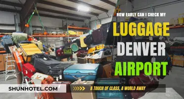 Denver Airport: Best Time to Check-In Luggage