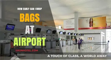 Best Time to Drop Bags at the Airport