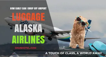 Best Time to Drop Off Luggage with Alaska Airlines