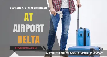 Delta's Early Airport Check-In and Luggage Drop-Off