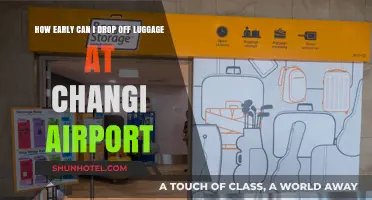 Changi Airport: Best Time to Drop Off Luggage