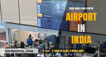 Arriving Early: Airport Entry Timing in India