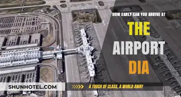 Arriving Early: DI Airport's Best Practice