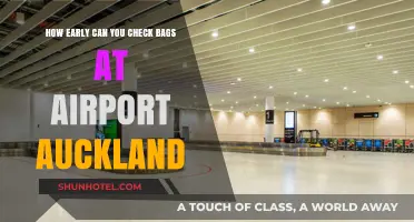 Auckland Airport: Checking Bags Early