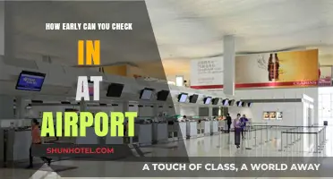 Airport Check-In: How Early is Too Early?