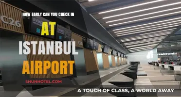 Istanbul Airport: Early Check-In Options Explored