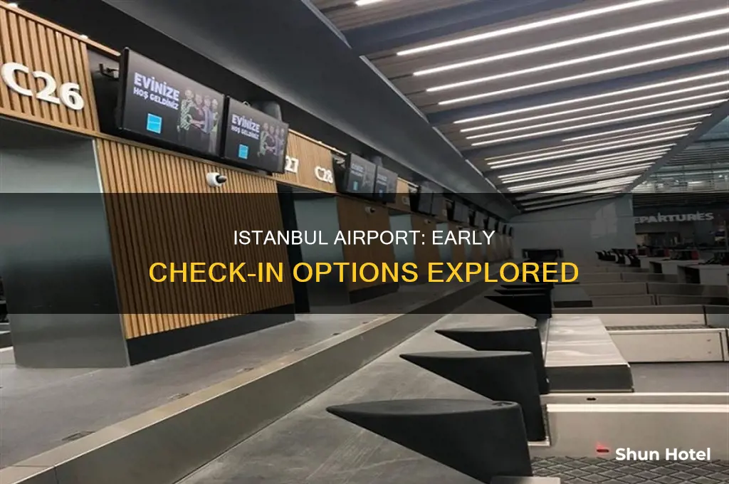 how early can you check in at istanbul airport